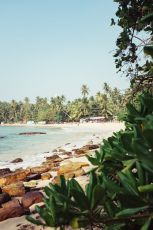 8 Days Colombo to Dambulla Beach Tour Package