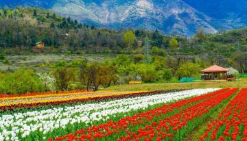 Experience 3 Days Kashmir with Ghaziabad Holiday Package