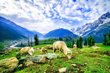 3 Days 2 Nights Kashmir and Gurgaon Holiday Package