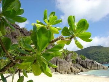 Heart-warming 4 Days Andaman And Nicobar Islands Holiday Package