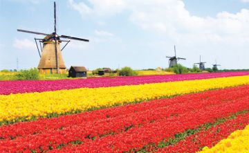 Memorable 10 Days Amsterdam, Netherlands to United Kingdom Holiday Package