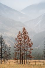 Pleasurable 3 Days New Delhi to Nainital Vacation Package