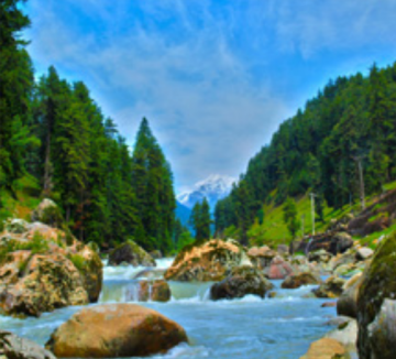 Experience Gulmarg Pahalgam Tour Package from Leave Jammu
