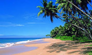 Heart-warming 3 Days 2 Nights North Goa Vacation Package
