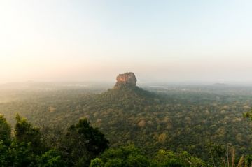 Bustling Sri Lanka Jungle Safari