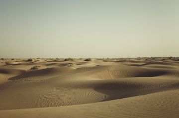 Heart-warming 3 Days 2 Nights Jaipur with Pushkar Vacation Package