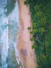 9 Days Negombo to Wadduwa Sri Lanka Beach Trip Package