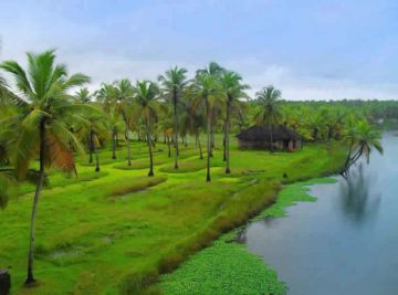 Family Getaway 5 Days Alleppey - Cochin 60kms Approx 01hr 30mins to Munnar Tour Package