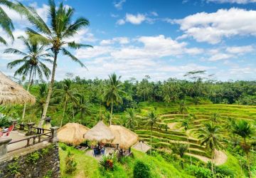 Family Getaway 6 Days Bali Departure to Kuta Kintamani Volcano To Ubud Waterfall Tour Trip Package