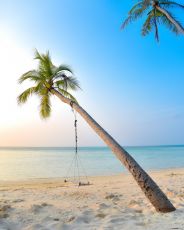 10 Days 9 Nights Negombo Nature Vacation Package