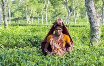 Bangladesh Tour Package for 4 Days 3 Nights