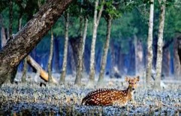 Bangladesh Tour Package for 4 Days