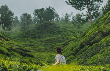 5 Days 4 Nights Cochin Departure to munnar sightseeing Tour Package