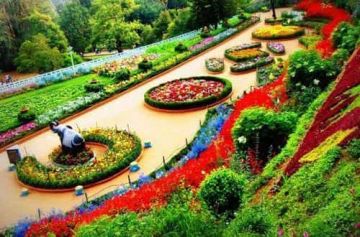 Memorable 4 Days Coorg  Bangalore to coorg  coorg Vacation Package