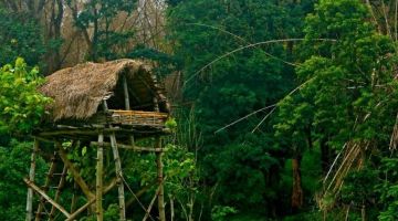 5 Days 4 Nights coorg  coorg Vacation Package