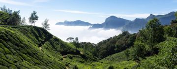 Munnar Tour Package for 3 Days