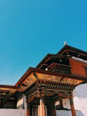 8 Days 7 Nights thimphu, gangtey gonpa, punakha and haa dzongkhag Friends Vacation Package