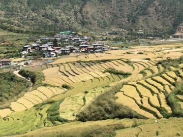 7 Days thimphu, gangtey gonpa, haa dzongkhag with paro Nature Trip Package