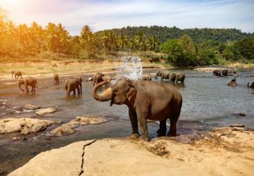 5 Days 4 Nights DEPART DUBAI to at the top of burj khalifa Holiday Package