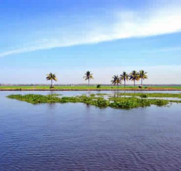 Family Getaway alappuzha Tour Package for 2 Days