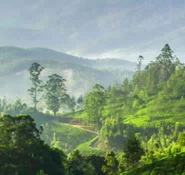 Amazing 4 Days Alappuzha to munnar Tour Package