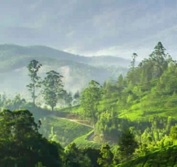Memorable 4 Days munnar and alappuzha Tour Package
