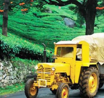 Magical 6 Days Alleppey- Cochin drop to munnar thekkady Tour Package