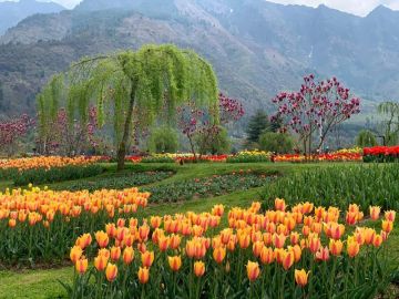 11 Days 10 Nights Sadda Pind Honeymoon Trip Package