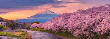 1 Night 2 Days Japan Tour Package by Aman tours and travels