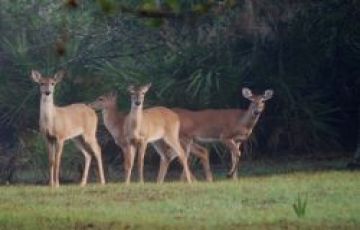 1 night 2 days Goa Tour Package