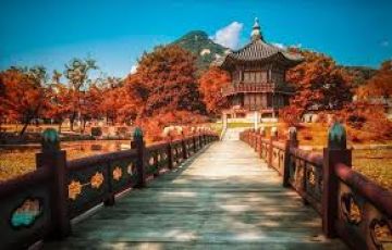 Tour Package for 4 Days from South Korea
