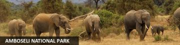 Memorable 3 Days Nairobi to amboseli Trip Package