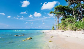 7 Days 6 Nights port blair airport transfer to neil island to havelock island Vacation Package