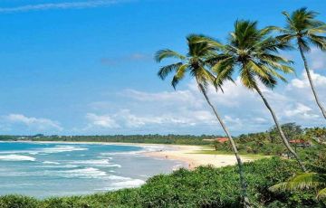 6 Days 5 Nights proceed to airport to colombo to galle Trip Package