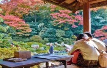 Beautiful 4 Days 3 Nights japan Holiday Package