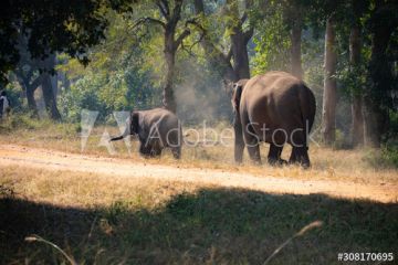 Heart-warming 3 Days bandhavgarh and jabalpur Holiday Package