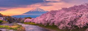 Magical 2 Days 1 Night japan Tour Package