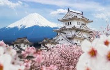Magical japan Tour Package for 2 Days 1 Night