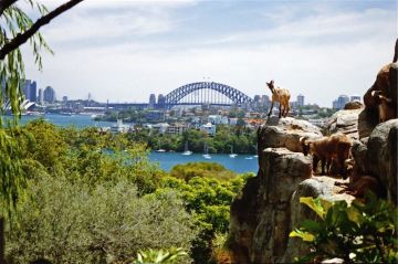 Family Getaway 10 Days kangaroos  koalas tour Tour Package