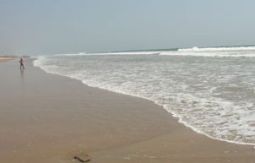 3 Days 2 Nights Trivandrum drop to varkala Holiday Package
