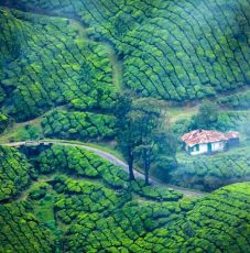 Amazing 4 Days 3 Nights munnar to alleppey houseboat  205km55hrs  Vacation Package