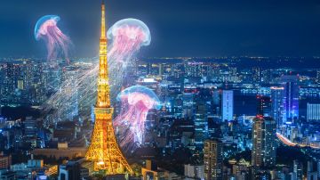 7 Days 6 Nights Osaka to Family Trip Package