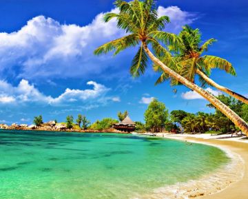 7 Days 6 Nights arrive at port blair, port blair to neil island, neil island to havelock island and havelock island to port blair Tour Package