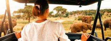 10 Days 9 Nights dropped off at JKIA Airport to nairobi - amboseli Tour Package