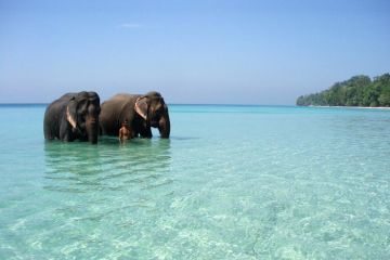 Magical 6 Days Port Blair Return to port blair Holiday Package