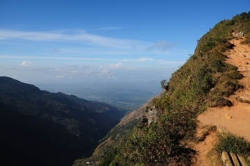 8 Days 7 Nights Beach Hotel or to the Airport to ella Trip Package