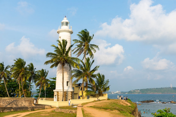 8 Days 7 Nights Beach Hotel or to the Airport to ella Trip Package