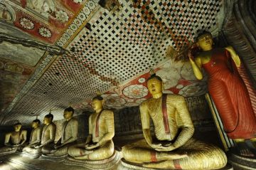 8 Days Your Beach Hotel or to the Airport to dambulla Vacation Package