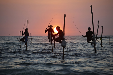 8 Days Your Beach Hotel or to the Airport to dambulla Vacation Package