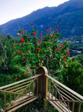 Family Getaway 4 Days 3 Nights Holiday Package